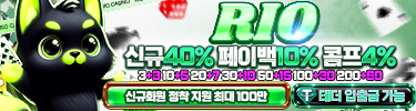 리오카지노